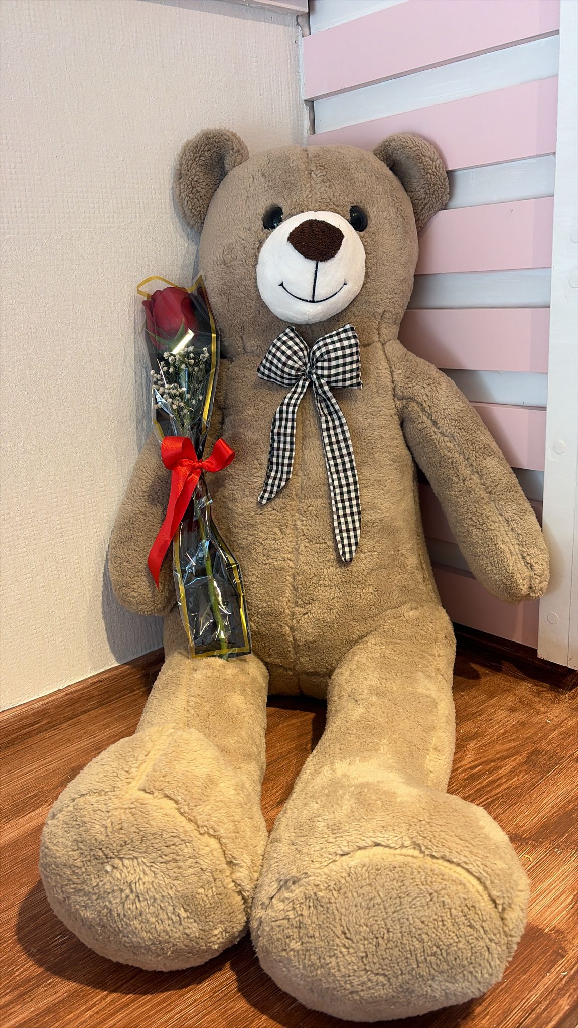 Peluş Ayı ve Kırmızı Gül