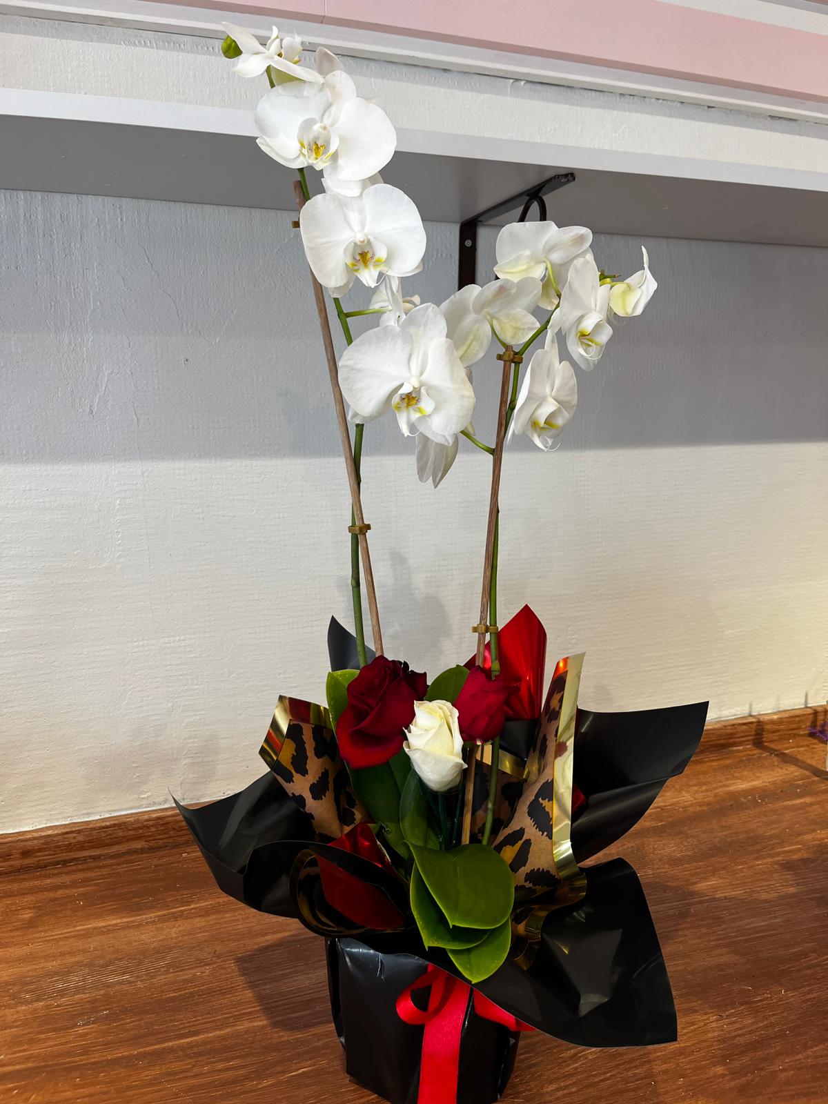 Çift dallı beyaz orkide