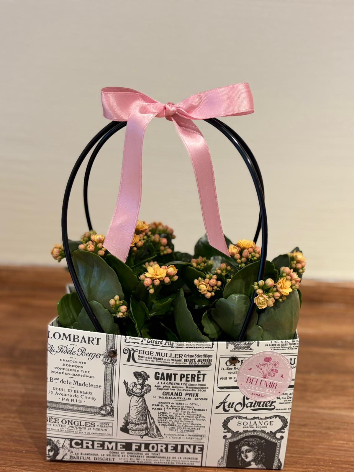 Çantada İthal Kalanşo (İkili)