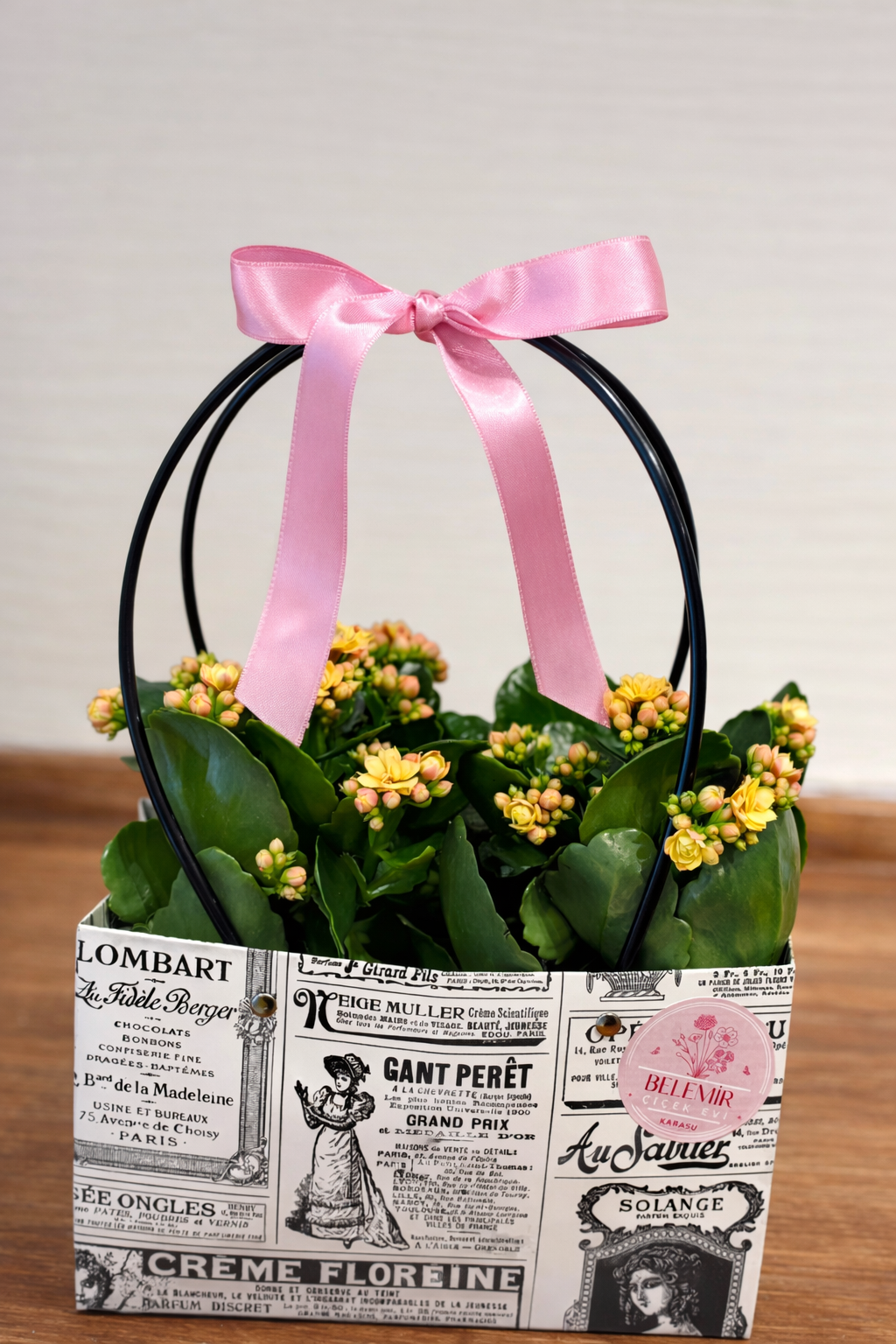 Çantada İthal Kalanşo (İkili)