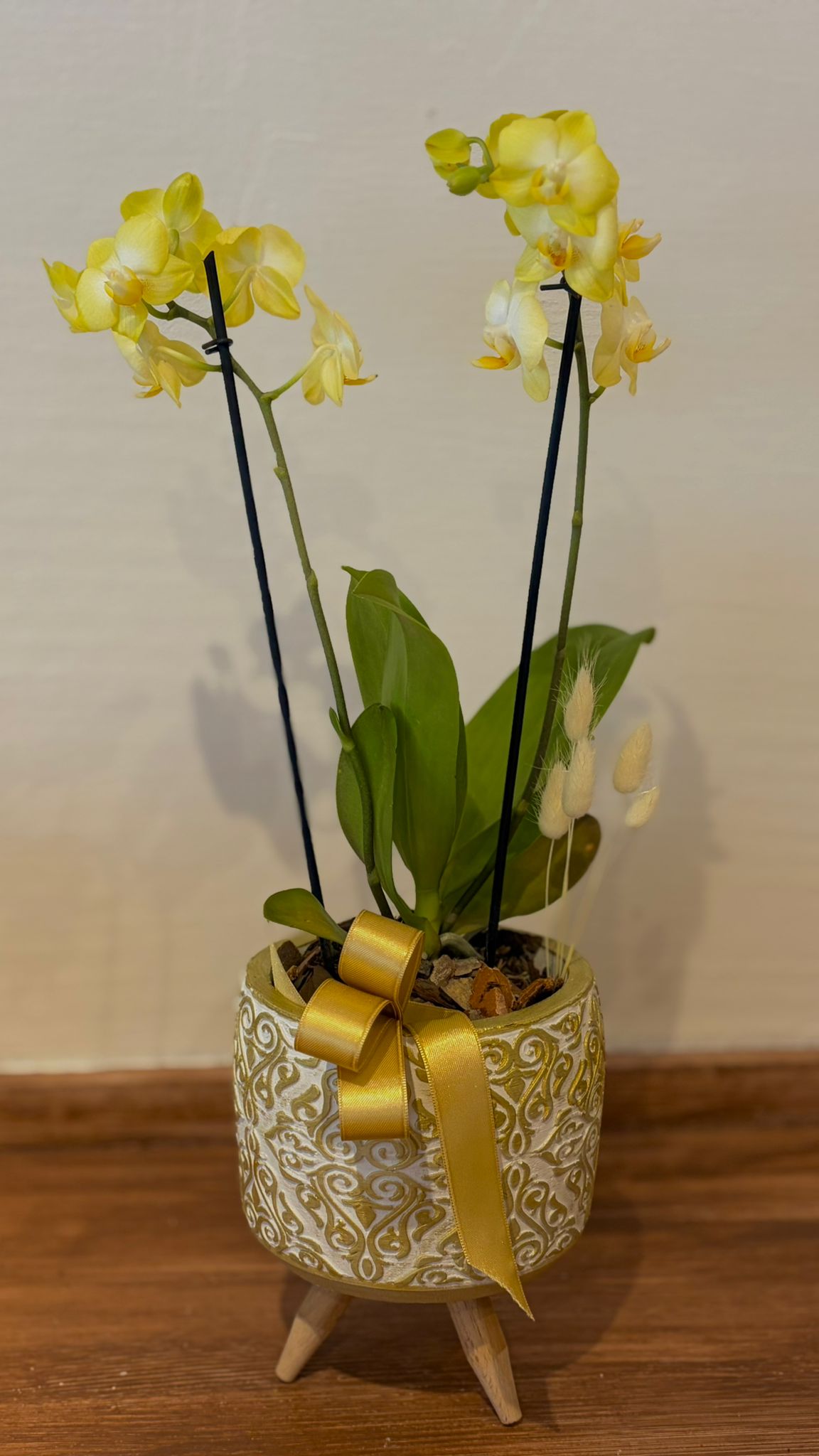 Saksıda çift dallı midi sarı orkide